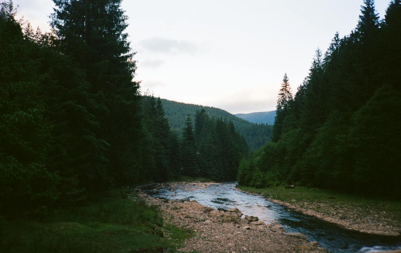 Фото новини